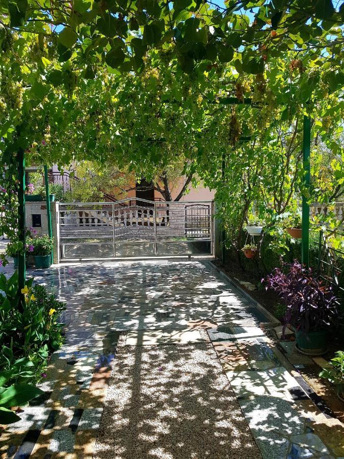 Apartments Petar & Anka Biograd Na Moru Dış mekan fotoğraf